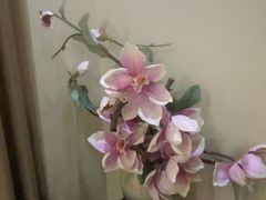 -菩提慧宾养生堂(梦幻亮点世界公园店)