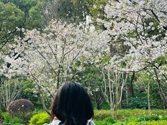 -徐家汇源景区-衡山公园