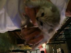 android_upload_pic-MIKAKU(万达广场上海宝山店)