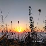 云龟山露营记