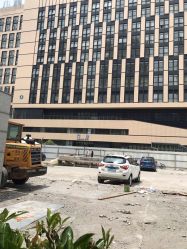 -上海交通大学医学院附属上海儿童医学中心(陆家嘴总院区)