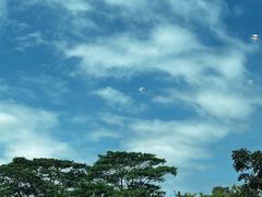 -北京大学深圳研究生院-燕园2食堂