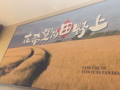 -杨厨的田园饭店(长城路店)