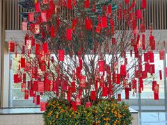 -上海佘山世茂艾美酒店