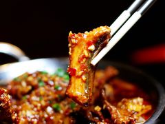-不炭白烧烤(成都首店)