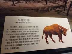-大庆市博物馆