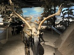 -武汉园博园(武汉自然博物馆)