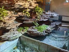 -山水茶艺馆·点心粤菜·30年老字号