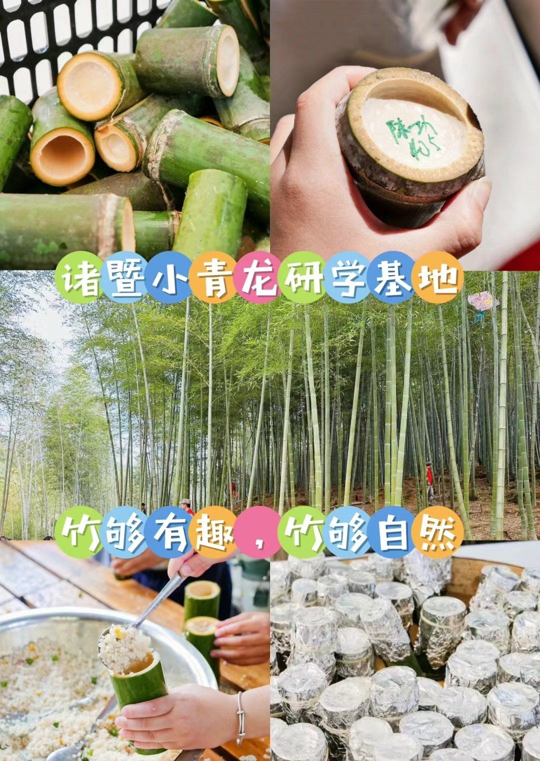 诸暨中小学竹子研学基地找到啦!