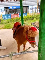 -萌宠亲子动物乐园(槐房万达店)