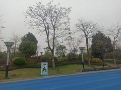 -文华公园(禅城区)