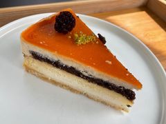-轩客会(熊猫书店)