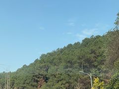 -铁山坪森林公园