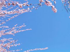 -春风习习