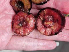 -鲜丰水果(昆山第一人民医院店)