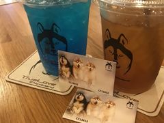 -TrueLove @ Neverland (Husky Cafe)