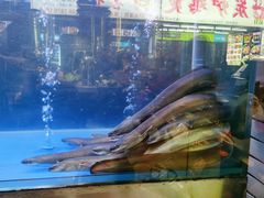 -本炙炭烤·蒲烧活鳗料理店(金沙洲店)