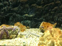 -北戴河圣蓝海洋公园