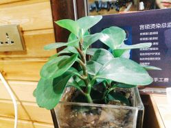 大厅-MONE美发沙龙