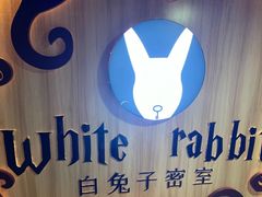 -白兔子密室(长寿路店)