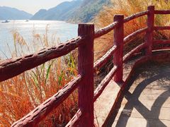 -羚羊峡古栈道森林公园