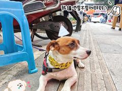 -黑竹香鸡(营和巷店)