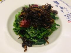 油鸡枞炝拌丝瓜尖-玉华台饭庄·淮扬菜·烤鸭(望京店)