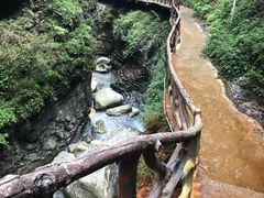 -鹿院坪生态旅游景区