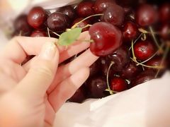 -GANSO元祖食品(未来路店)