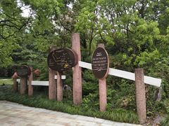 -羡餐厅-千岛湖自由洲际殿