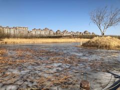 -马家湾湿地公园