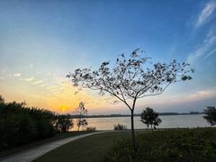 -滨江生态公园