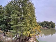 -东湖落雁景区