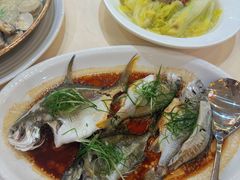 -益利大酒楼(井岸店)