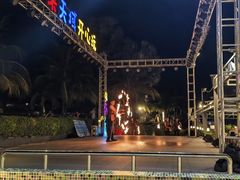 -渔家火锅·海鲜自助餐·演艺(亚龙湾天域酒店)