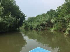 iphone_upload_pic-溱湖国家湿地公园