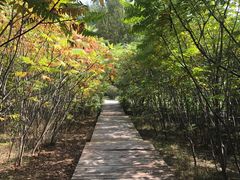 -长春世界雕塑园冰雪艺术天地