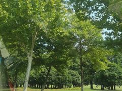 -阳澄湖半岛旅游度假区