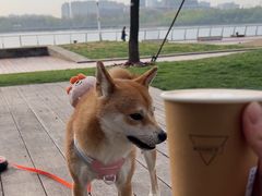 -Manner Coffee(徐汇滨江店)