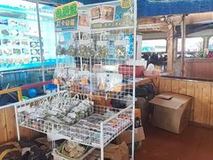-蓝湾碧波·老字号·疍家非遗海上餐厅