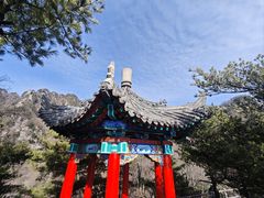 -王顺山国家森林公园