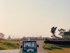 -空港花田景区