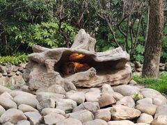 -上海野生动物园