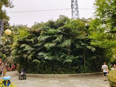-晓港公园