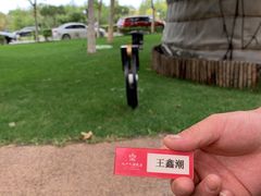 -九十九顶毡房(阜石路店)