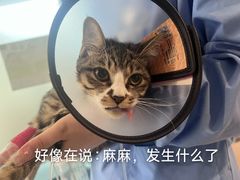 -御宝贝24h宠物医院·转诊中心·CT核磁血透中心(厦门总院)