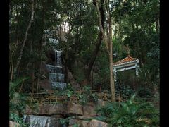 -广州市流溪河国家森林公园