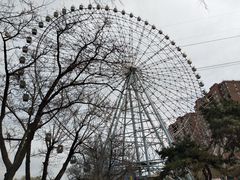 -万泉公园