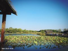 -溱湖国家湿地公园
