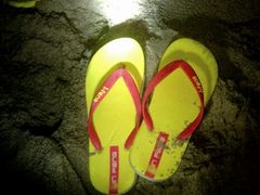 -西涌国际滨海旅游区